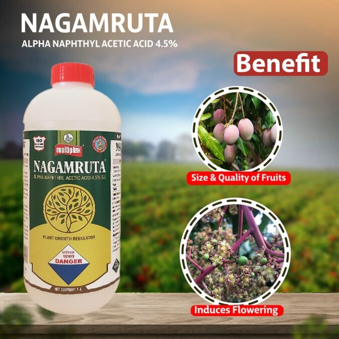 AGRIBIST | Nagamruta (Alpha Naphthyl Acetic Acid 4.5% S.L) 1LT