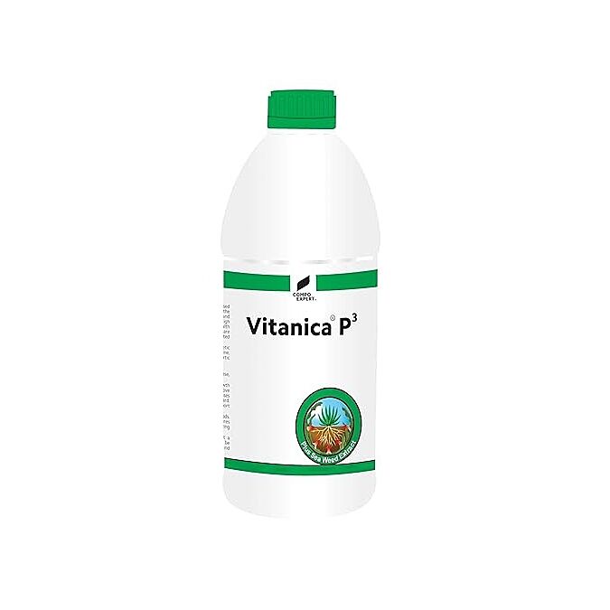 AGRIBIST| Promotes Root Growth- Enhance Resistance of Turf grasses