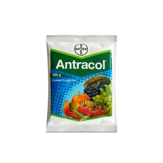 Agribist | Antracol Fungicide by Bayer (Propineb 70% WP) for Fungal Diseases