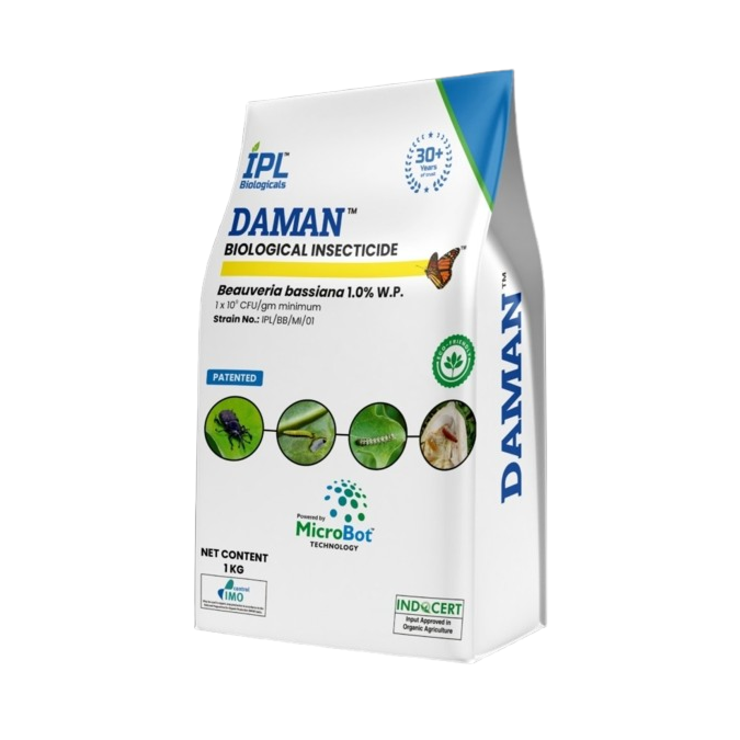Daman Powder - Beauveria bassiana 1.0% W.P.  1Kg (Pack Of 25)