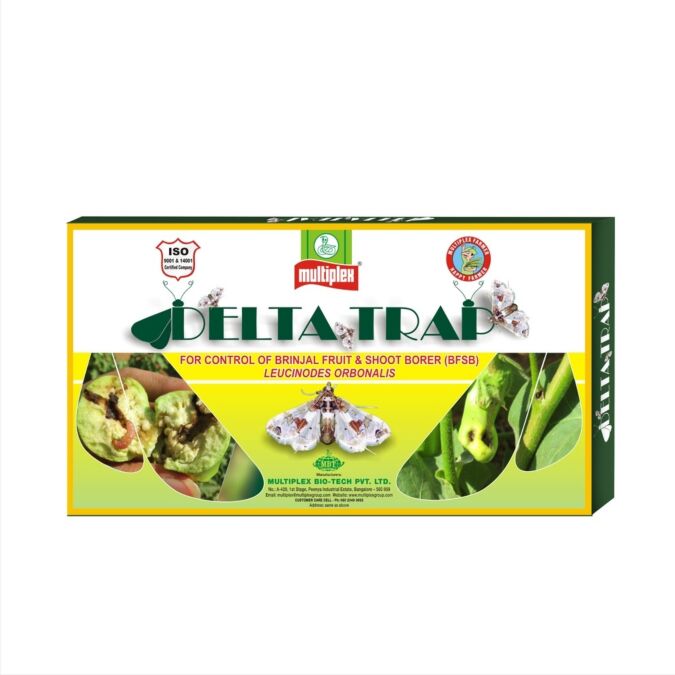 AGRIBIST | Delta Trap For Brinjal Shoot & Fruit Borer (6 TRAPS & LURES)