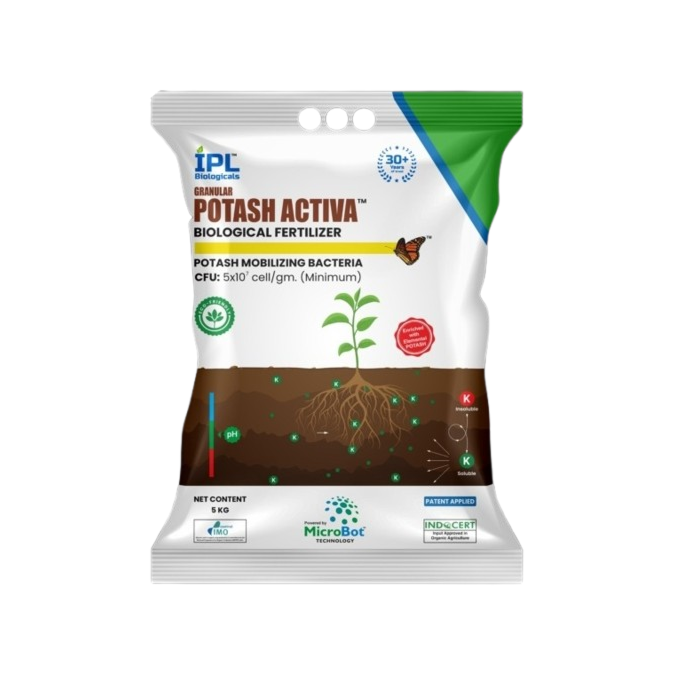 Granular Potash Activa -Potash Mobilizing Bacteria (KMB) 1 kg( Pack of 25)