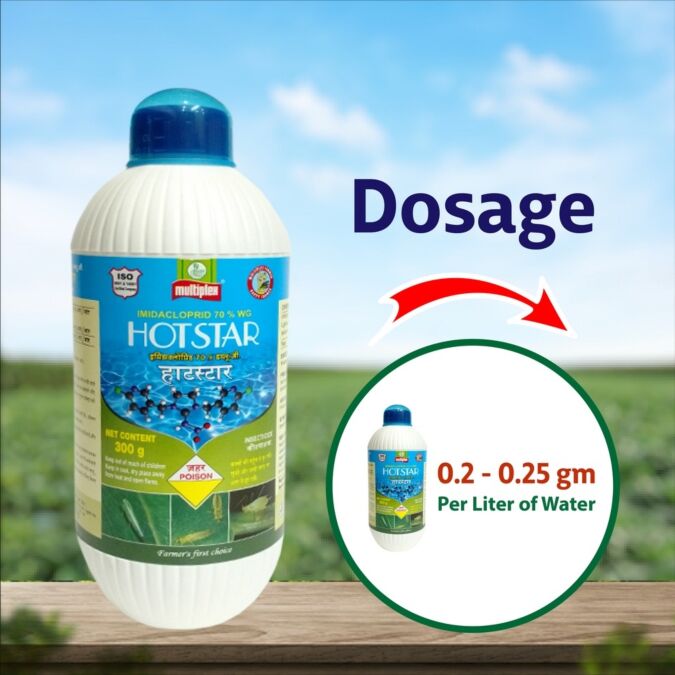 AGRIBIST | Hot Star Insecticide 300GM