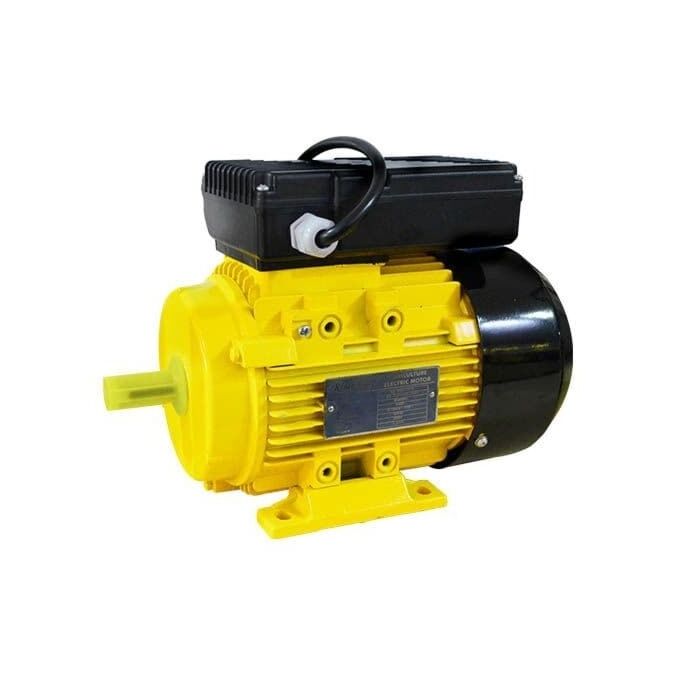 AGRIBIST |ELECTRIC MOTOR(220V,1-PHASE)