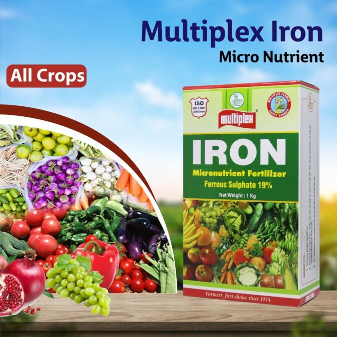 AGRIBIST | Iron Micro Nutrient - 1 KG