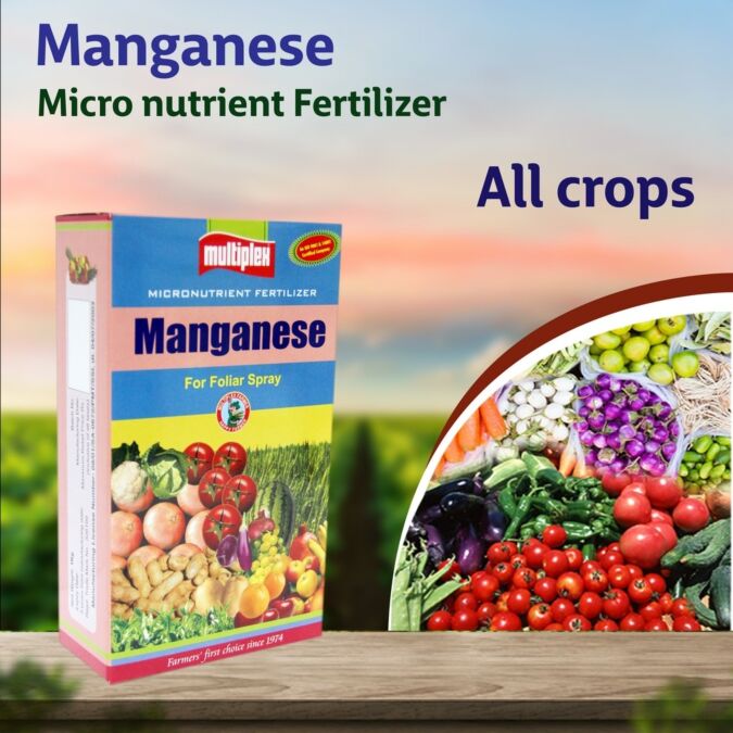 AGRIBIST | Manganese (Micro Nutrient) 1KG
