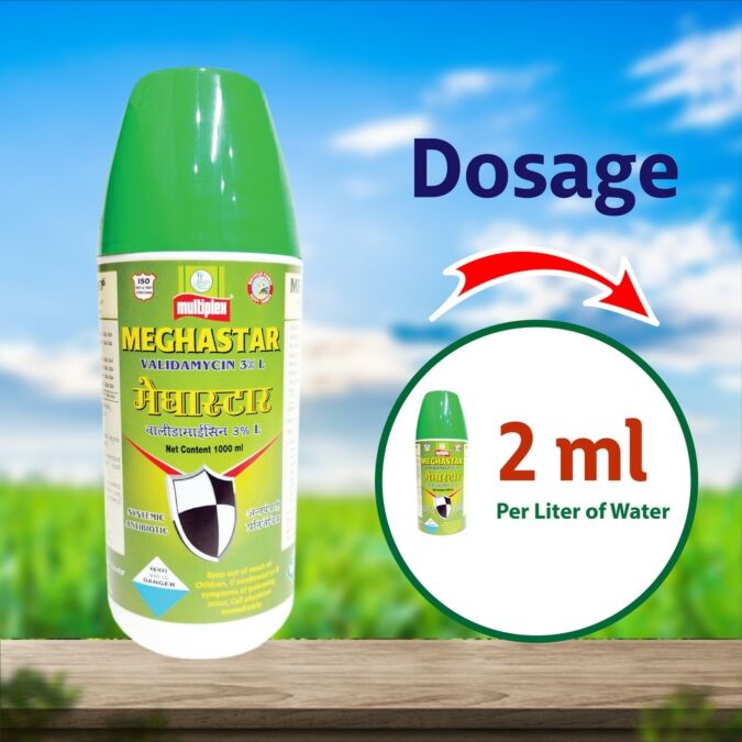AGRIBIST | Megha Star Bactericide 1LT