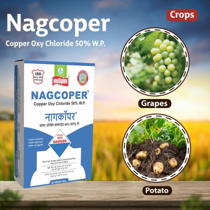 AGRIBIST | Nagcoper Fungicide 250GM