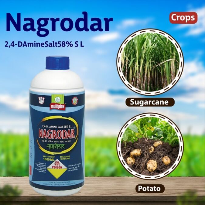 AGRIBIST |Nagrodar Herbicide1LT