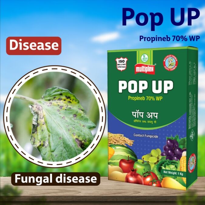 AGRIBIST | Pop-Up Fungicide 500GM