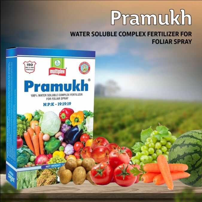 AGRIBIST | Pramukh (19:19:19) Fertilizer500GM
