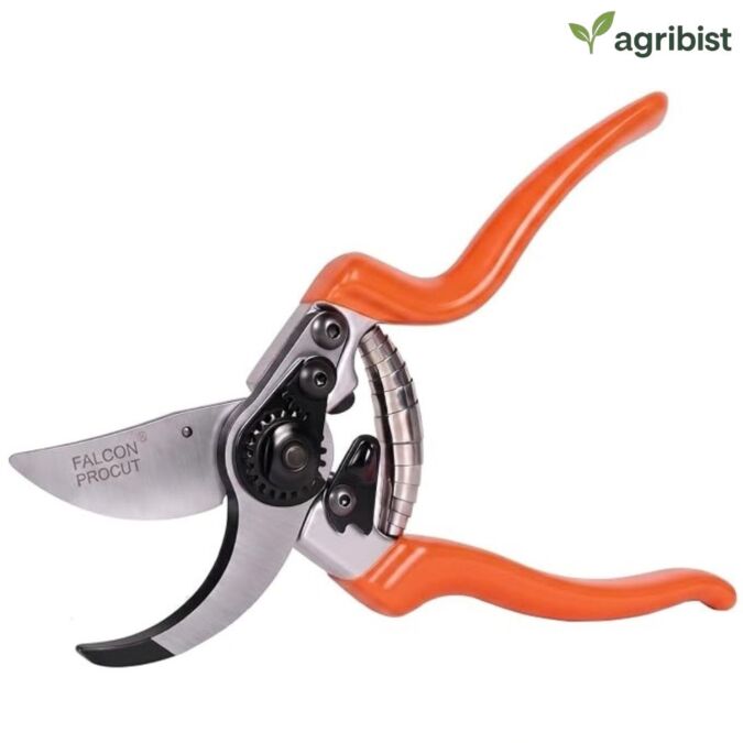  Procut Pruning Secateurs with 15mm Cutting Capacity Stainless Steel Handle and Soft TRP Grip Heavy Duty Pruner Gardening Scissor Plant and Branch Cutter Shears Tool for Home Garden (Multicolor) (Pack of 25)