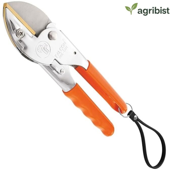 Pruning SECATEUR - Regular Steel Handle (LIVE GREEN) (Pack of 25)