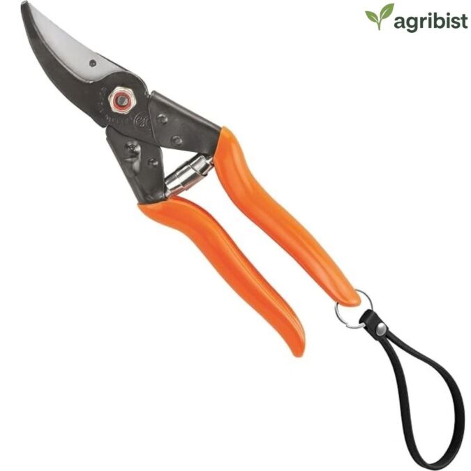  FALCON Pruning Secateur (Total Length - 225 mm) (Pack of 25)