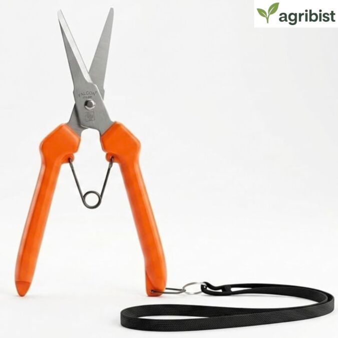  FTS-808 Thinning Scissors with Nylon handle and safety lock Stainless Steel Long Blade Comfortable Grip Heavy Duty Multipurpose Use Tool For Home Gardening Trimming Wool Shearing (Multicolor) (Pack of 50)