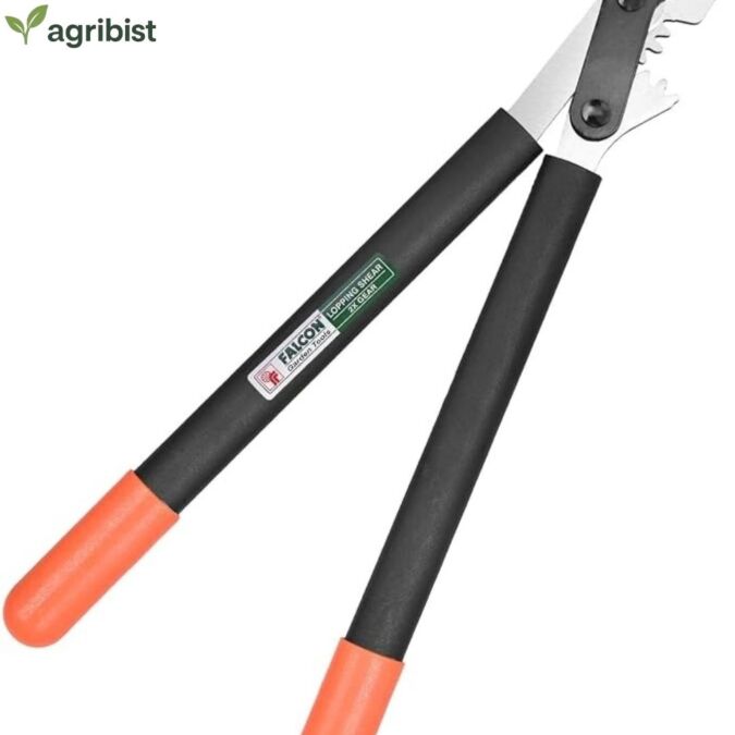  Bypass Lopper 2X Gear with 30mm Capacity Stainless Steel Blade Heavy Duty Pruning Secateur Gardening Scissors Plant and Branch Cutting Shears Tool for Home Garden (Multicolor) (Pack of 25)