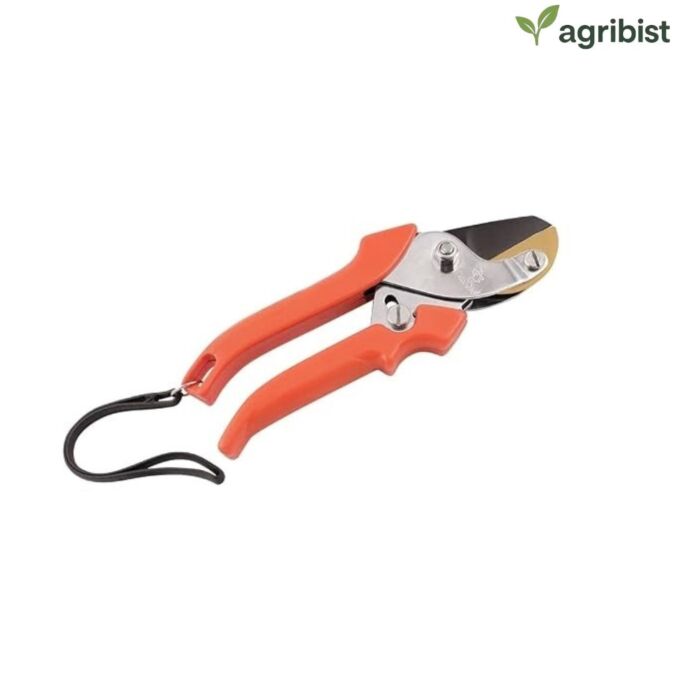 SUPERCUT Steel Supercut Pruning Secateur (Multicolor) ( Pack of 50)