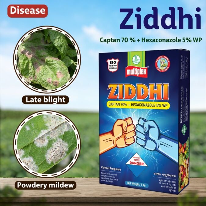 AGRIBIST | Ziddhi Fungicide 500GM