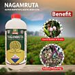 Multiplex Nagamruta (Alpha Naphthyl Acetic Acid 4.5% S.L) 1 LT ( Pack of 25 )
