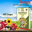 Multiplex Durga (PSB) Powder - 1 KG (Pack of 25 )
