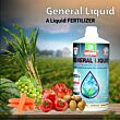 Multiplex General Liquid (Micronutrient Liquid Fertilizer) 1 LT ( Pack of 25 )