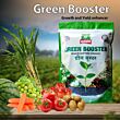 Multiplex Green Booster PGI 1KG (Pack of 25)