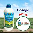 Multiplex Hot Star Insecticide 300 GM (Pack Of 25)