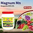 Multiplex Magnum Mn (Manganese EDTA 12%) 1KG (Pack of 25 )