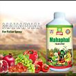 Multiplex Mahaphal (Bio Stimulant) 1LT (Pack of 25)
