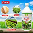 Multiplex Baba Bio Insecticide Beauveria bassiana- Liquid 1 LT (Pack of 25)
