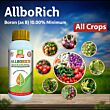 Multiplex Allborich Liquid Boron Fertilizer (Boron 10%) 1LT (Pack of 25)