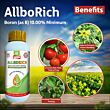 Multiplex Allborich Liquid Boron Fertilizer (Boron 10%)  1LT (Pack Of 25)