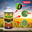 Multiplex Bio Strike Pesticide 1 LT ( Pack of 25 )