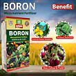 Multiplex Boron (Boron 10.50%) 1 Kg (Pack Of 25)