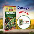 Multiplex Boron (Boron 10.50%) 1 Kg (Pack Of 25)
