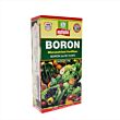 Multiplex Boron (Boron 10.50%) 1 Kg (Pack Of 25)