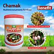 Multiplex Chamak (Calcium Fertilizer) 1 KG (Pack Of 25)