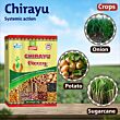 Multiplex Chirayu (Seed Treatment) 1KG (Pack of 25 )