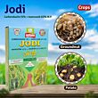 Multiplex Jodi Fungicide 1KG (Pack of 25 )
