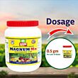 Multiplex Magnum Mn (Manganese EDTA 12%) 1KG (Pack of 25 )