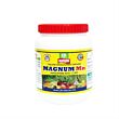 Multiplex Magnum Mn (Manganese EDTA 12%) 1KG (Pack of 25 )