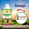 Multiplex Mahaphal (Bio Stimulant) 1LT (Pack of 25)