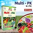 Multiplex Multi PK (05234) Fertilizer 1 KG (Pack of 25 )