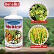 Multiplex Multinol (plant Bio Activator) Liquid 1LT (PACK OF 25)
