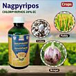 Multiplex Nagpyripos Insecticide 1LT (Pack of 25 )