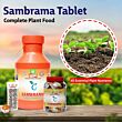 Multiplex Sambrama (Complete Plant Food) 50 GM (Pack Of 25)