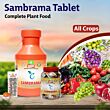 Multiplex Sambrama (Complete Plant Food) 50 GM (Pack Of 25)