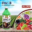 Multiplex Zinc-B (Zinc Solubilizing Bacteria)-Liquid 1LT (Pack of 25)