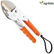 Pruning SECATEUR - Regular Steel Handle (LIVE GREEN) (Pack of 25)