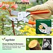  Pruning SECATEUR - Regular Steel Handle (LIVE GREEN) (Pack of 25)